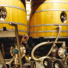 Industria vinicola